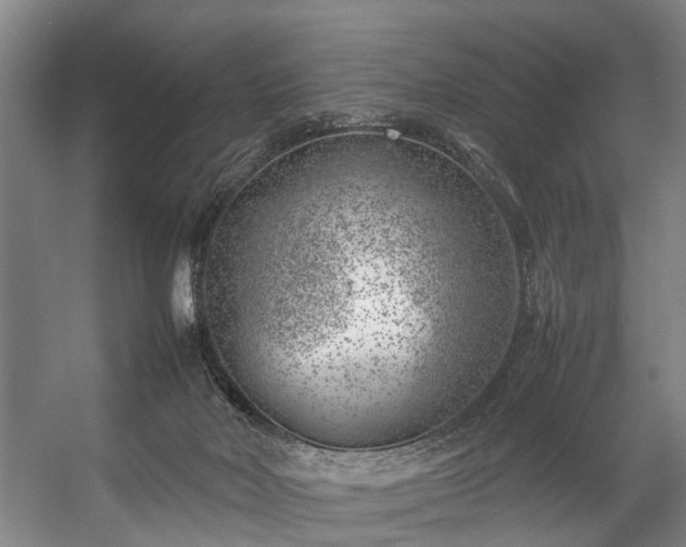 X0000057080026200509120932