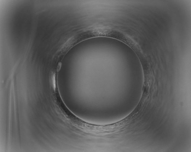 X0000057080027200509120932