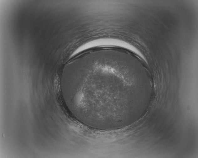 X0000057080029200509120932