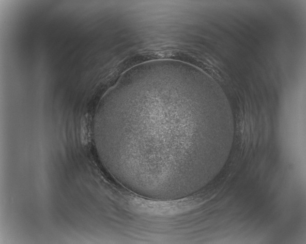 X0000057080030200509120932