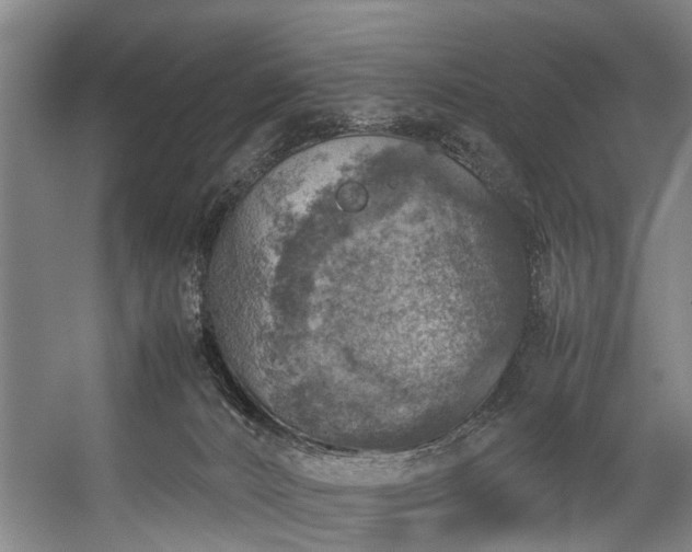 X0000057080032200509120932