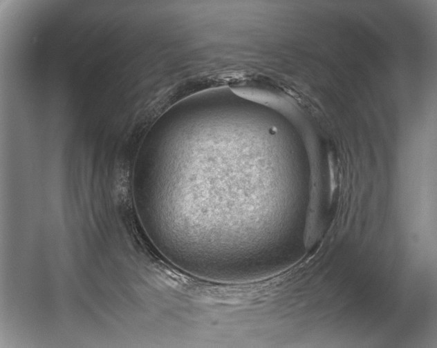 X0000057080033200509120932