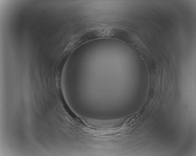 X0000057080035200509120932