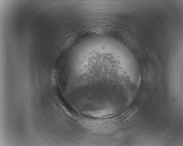 X0000057080036200509120932