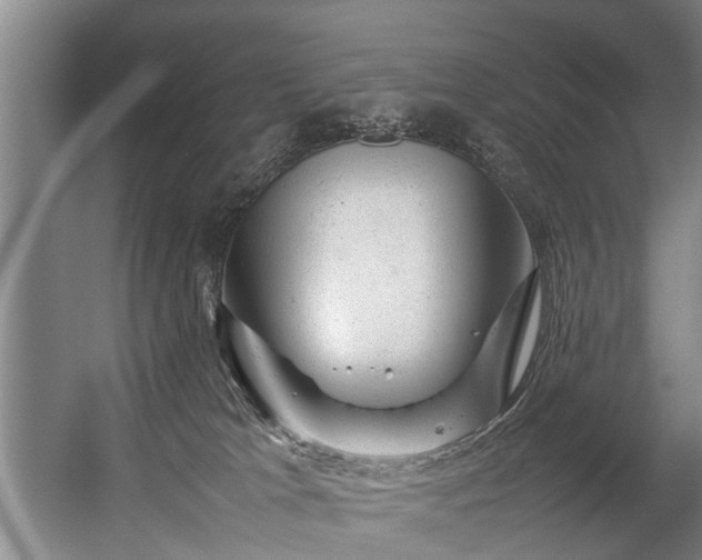 X0000057080037200509120932