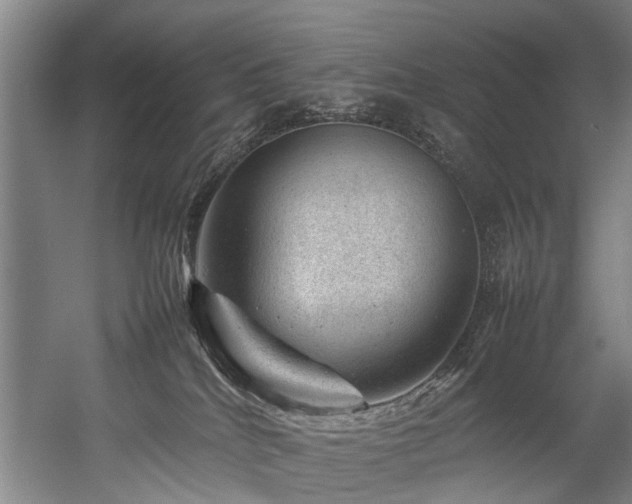 X0000057080040200509120932