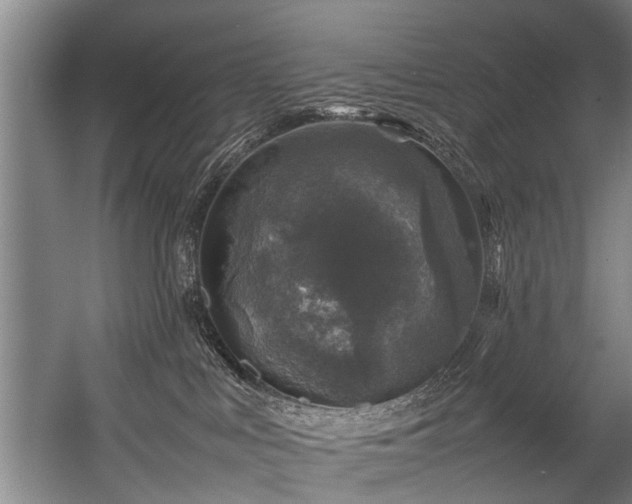 X0000057080043200509120932