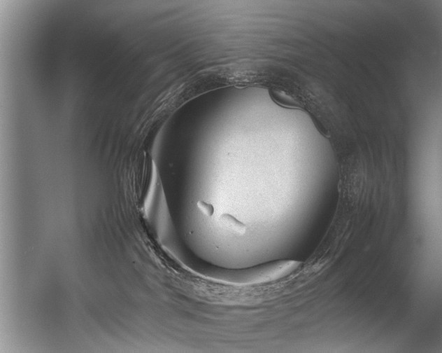 X0000057080044200509120932