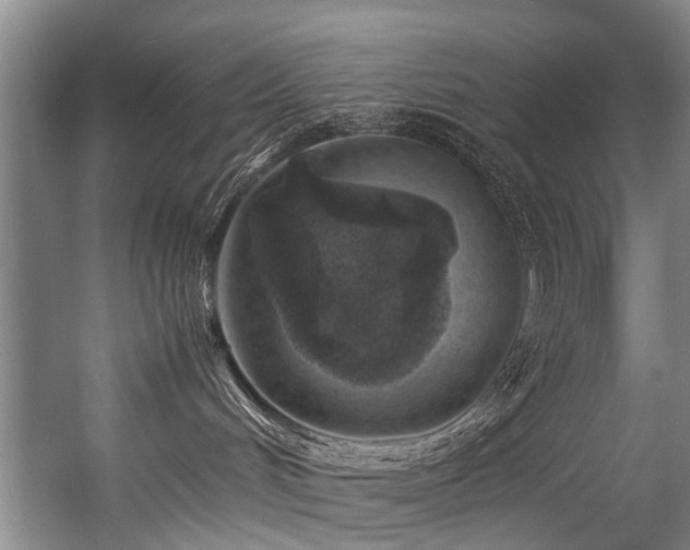 X0000057080048200509120932