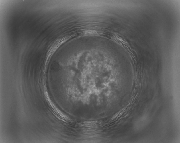 X0000057080049200509120931