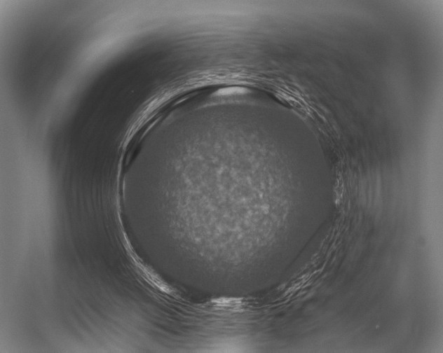 X0000057080052200509120931