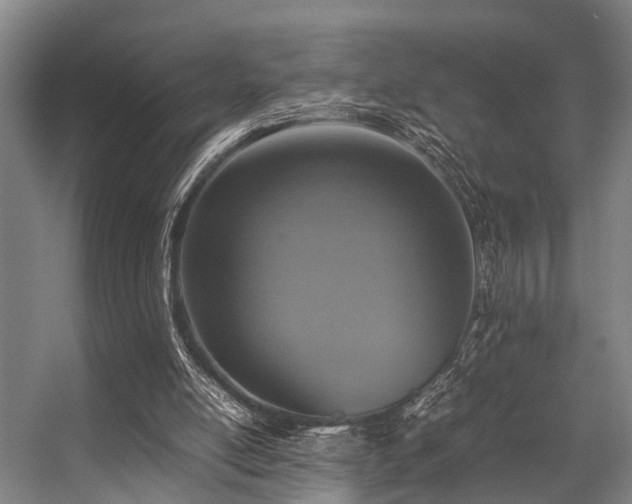 X0000057080054200509120931