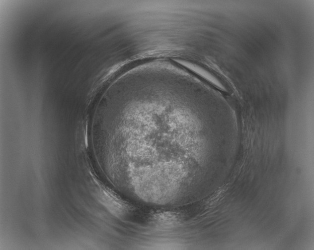 X0000057080062200509120931