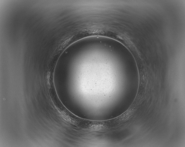 X0000057080066200509120931