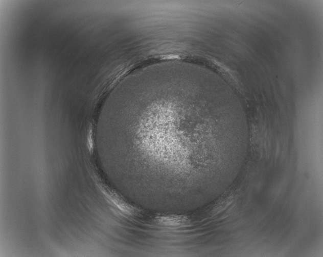 X0000057080069200509120931