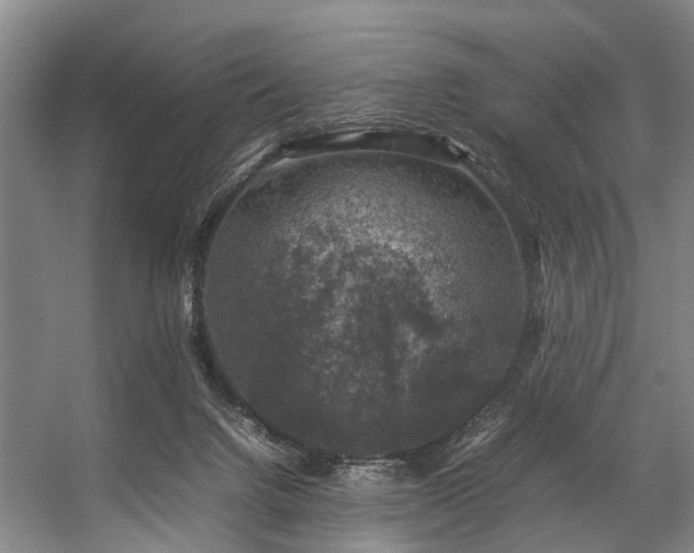 X0000057080072200509120931