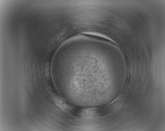 X0000057080078200509120931