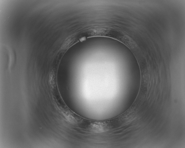 X0000057080079200509120931