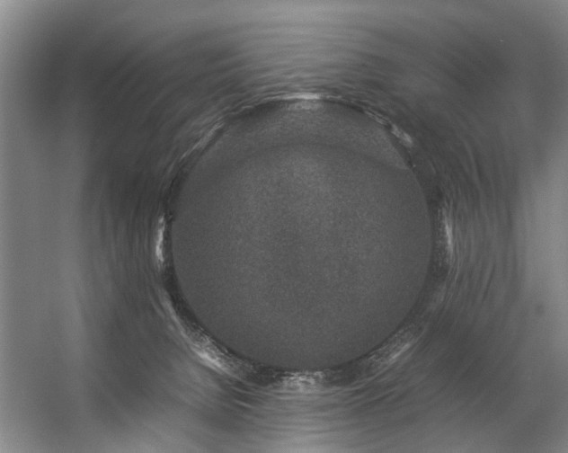 X0000057080080200509120931