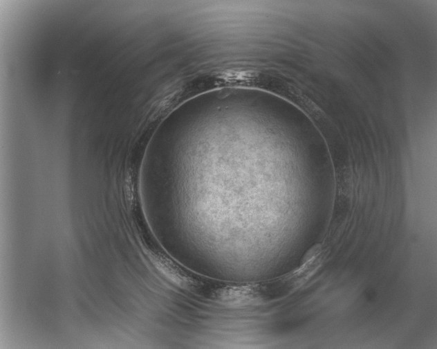 X0000057080086200509120932