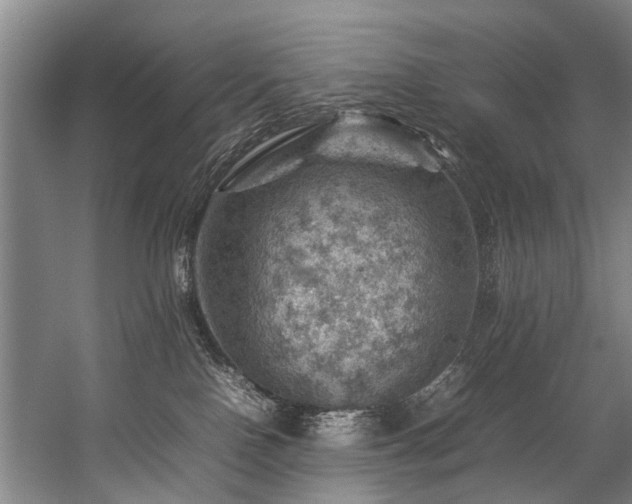 X0000057080090200509120932