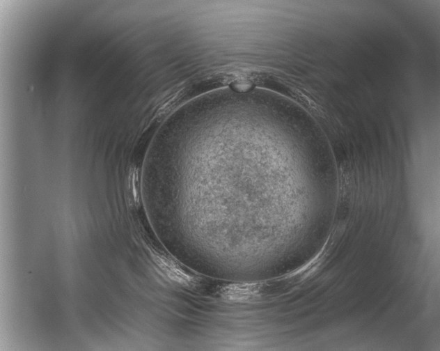 X0000057080094200509120932