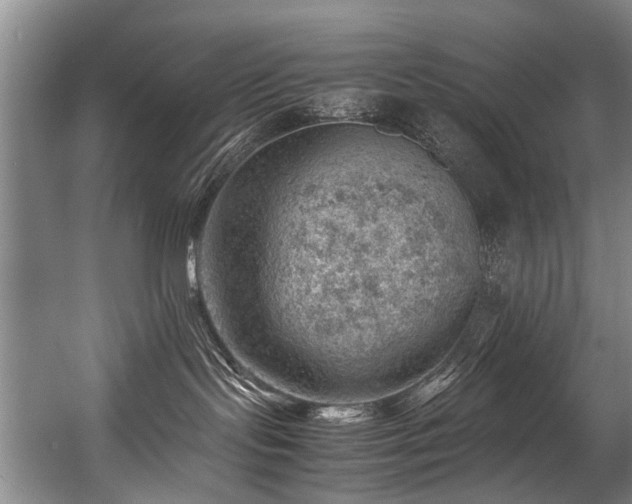 X0000057080095200509120932