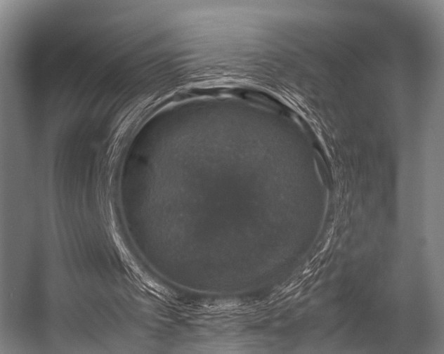 X0000057080097200509120931