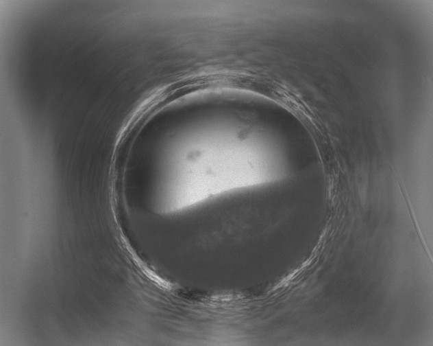 X0000057080101200509120931