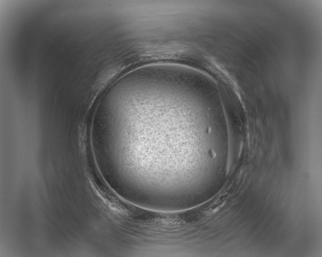 X0000057080107200509120931