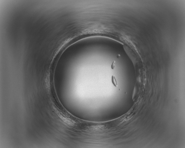 X0000057080108200509120931