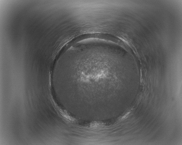 X0000057080109200509120931