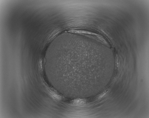 X0000057080117200509120931