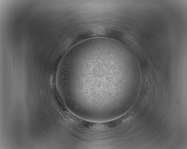 X0000057080123200509120930