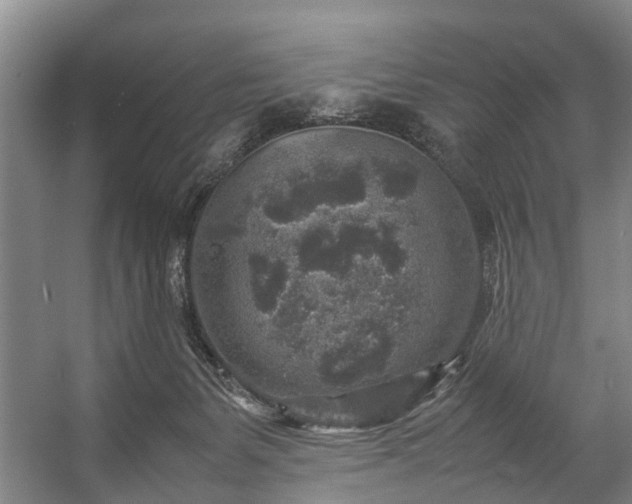 X0000057080127200509120930