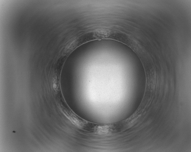 X0000057080134200509120930