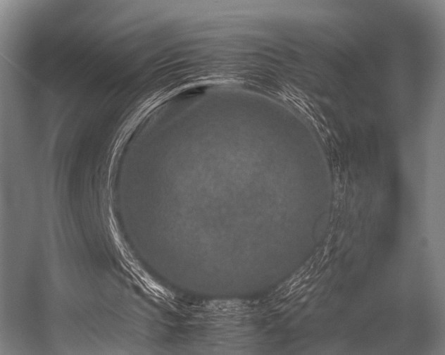 X0000057080145200509120929