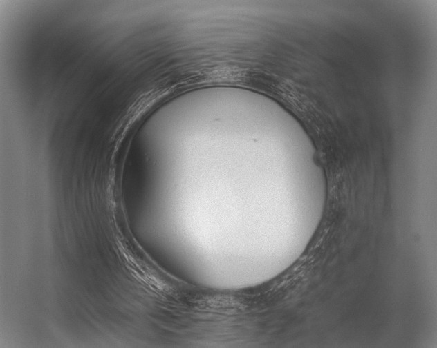 X0000057080146200509120929