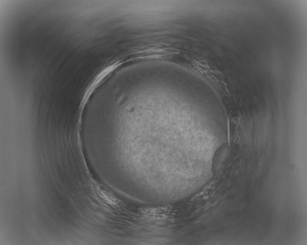 X0000057080147200509120929