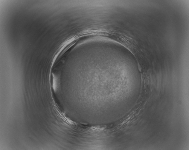 X0000057080148200509120929