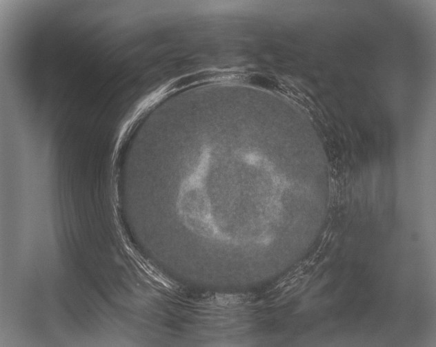 X0000057080149200509120929