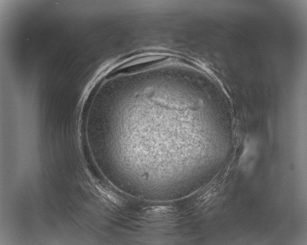 X0000057080151200509120929