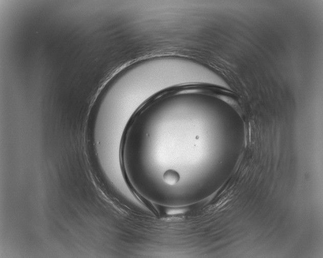 X0000057080156200509120929