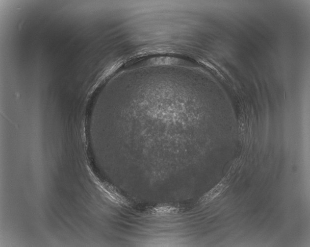 X0000057080158200509120929