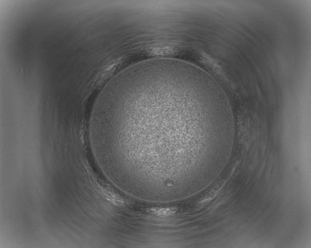 X0000057080161200509120930