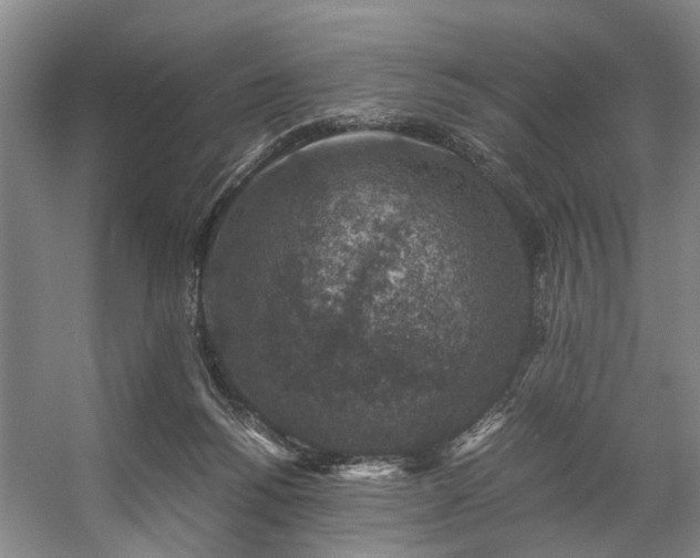 X0000057080168200509120930