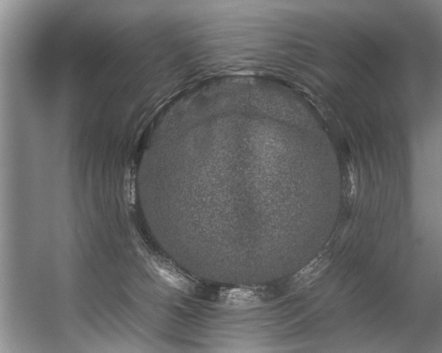 X0000057080180200509120930