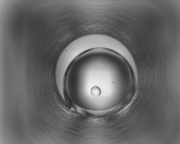 X0000057080186200509120930