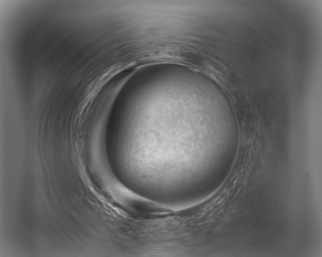 X0000057080193200509120929