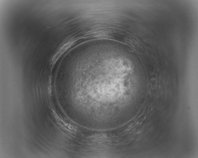 X0000057080194200509120929